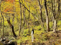 -叠溪松坪沟景区