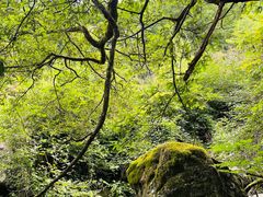 -藏龙百瀑风景区