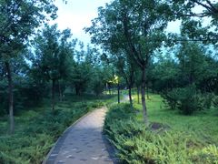 -深蓝盲人按摩中心(西北旺店)