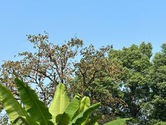 -木守西溪溪隐餐厅