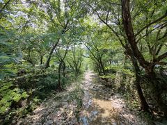 -雁荡山风景名胜区