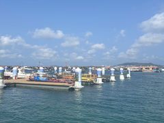 -蓝湾碧波·老字号·疍家非遗海上餐厅