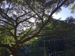 -广州市石门国家森林公园