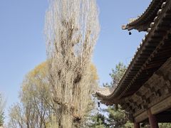 -张掖大佛寺景区