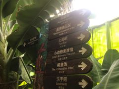 -北京呀路古热带植物园
