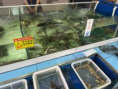 -三叔煮意