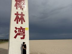 -东郊椰林
