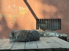 -青藏高原野生动物园