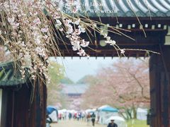 -醍醐寺