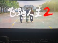 -奥斯卡升龙国际影城(RealD Cinema)