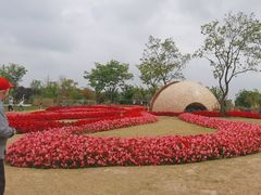 -苏州上方山国家森林公园
