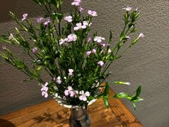 -江南雅厨(李公堤店)