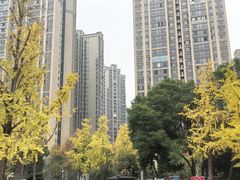 -龙头寺公园