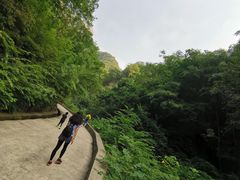 -北京上方山国家森林公园