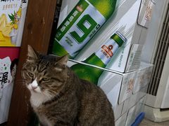 -九寨沟石锅鱼(沣峪口二十年店)