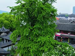 -常熟方塔园
