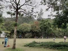 -广东花都湖国家湿地公园