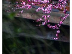 -郭庄景区