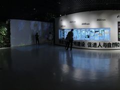 -野象谷景区