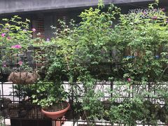 -紫藤燕语(兴澄银座店)