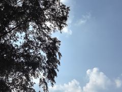 -西贝(六里桥旗舰店)