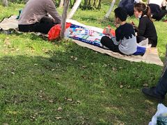 -瑶湖郊野森林公园