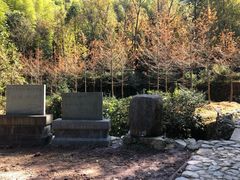 -仙霞关景区