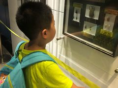 -上海昆虫博物馆