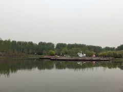 -东郊湿地公园