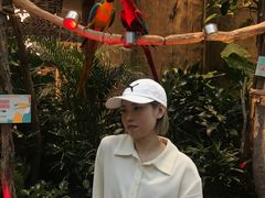 -杭州开元森泊度假乐园