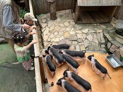 -HERRE·FARM 赫尔露营农场·团建聚会包场