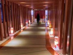 -重庆南山海昌汤都