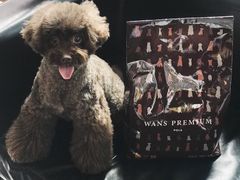 -Oh My Dog宠物沙龙(伊珊娜皮毛护理店)