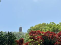 -焦山风景区