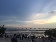 -宝安西湾红树林湿地公园