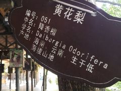 -海南槟榔谷黎苗文化旅游区