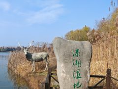 -溱湖国家湿地公园