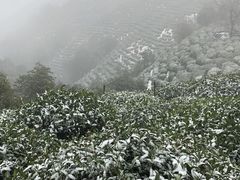 -九墅庭院餐厅(九溪徐村店)
