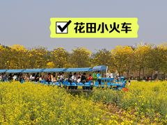 -盈香心动乐园