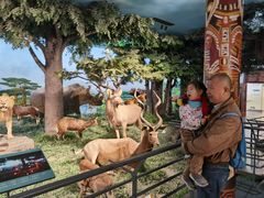 -国家自然博物馆