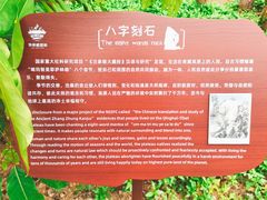 -华侨城湿地公园