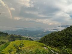 -紫鹊界梯田景区