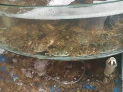 -蓝珊甄选海鲜自助·火锅大排档(近阿那亚店)