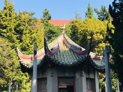 -叶家花园