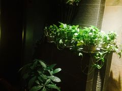 -泰和宫养生会馆(长江路店)