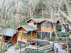 -天明山温泉大酒店