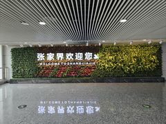 -张家界荷花国际机场