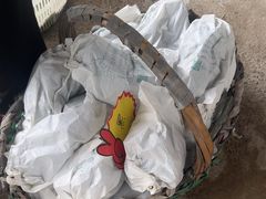 -马陆小张葡萄园农家乐