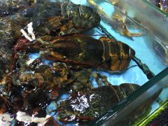 -渔民新村(番禺总店)