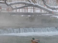 -水磨沟公园